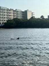 20FT PONTOON IN CLEARWATER ISLAND HOPPING TO POPULAR LOCAL ISLANDS