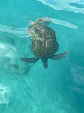 Power Coastal Cruises in Saint Peter, Barbados with Captain Dwayne