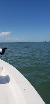 Enjoy a boat tour In Corpus Christi, Texas With Captain Jon