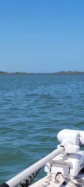 Enjoy a boat tour In Corpus Christi, Texas With Captain Jon