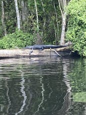 Boat Tours Welaka, Florida - St. Johns River