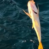 Enjoy Fishing in St. John, VI on Center Console