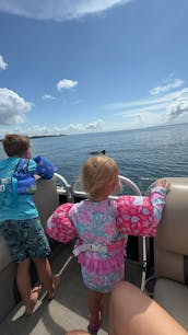 Sun Tracker Pontoon Rental in Destin