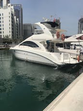 42ft Luxury Yacht Sea Ray in Marina Dubai
