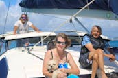 Catamaran Sailing Charters 5 Stars Puerto Rico Families and Groups Welcome