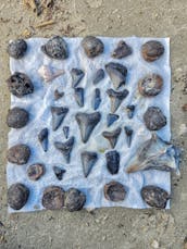 Barrier Island Fossil Excursion