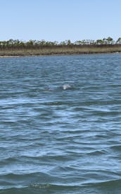 17' Classic Boston Whaler Charter in Folly Beach, South Carolina