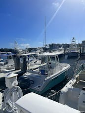 todas as tarifas incluem Captain- Charter In Style - SeaRay 260 Sundancer