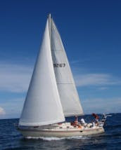 40 ft Jeanneau Sloop Charter in Fort Lauderdale