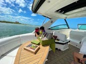 Large 35' Luxury boat in Fort Myers for seeing Dolphins, Stingrays, Sunsets, Beaches, Sandbars, Waterfront Dining and so much more