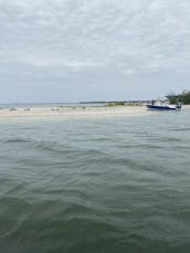 Twin Engine Power Boat VIP Adventure  in Ft Myers & Surrounding Barrier Islands