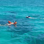 44' Catamaran Party Boat In Grand Bahamas Island