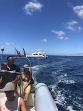 All Inclusive Leopard Catamaran 51 PC private charter in Funchal Madeira