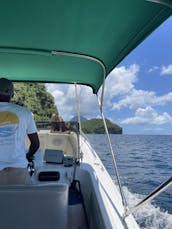 Full Day Private Speedboat Charter for Up to 10 People Saint Lucia