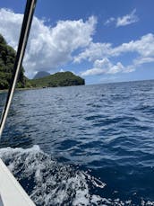 Full Day Private Speedboat Charter for Up to 10 People Saint Lucia