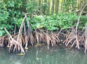 ベトナムのカンジオユネスコ生物圏保護区へのエコアドベンチャーツアー