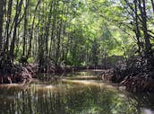 ベトナムのカンジオユネスコ生物圏保護区へのエコアドベンチャーツアー