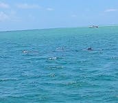 Captained, Anna Maria sandbars from Jewfish to clothing optional Passage Key