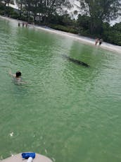 Bentley Pontoon Rental in Holmes Beach, Florida