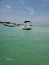 Un magnifique bateau ponté pour explorer, nager, faire du tube et plus encore à bord d'AMI !