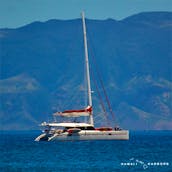 Luxury Sailing Catamaran Charter around the Islands (4 hour minimum)