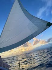 Private sailing on Beneteau 43' Luxury Yacht! GetMyBoat 2021 & 2022 Winner! 🥇