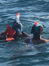 La meilleure aventure de plongée en apnée à Waikiki et à la voile dans les jardins de corail d'Hawaï. Réservez dès maintenant !