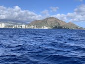 La meilleure aventure de plongée en apnée à Waikiki et à la voile dans les jardins de corail d'Hawaï. Réservez dès maintenant !