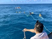 Location de catamaran à moteur pour 46 passagers à Waikiki, Honolulu, Hawaï