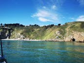 Chalutier « M.V Oriel » affrété de 31 pieds à Howth, en Irlande