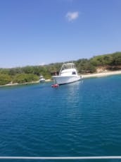 Curacao Experience, Spanish Waters, snorkel and fuik cruise ship pickup possible