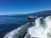 Beautiful Pontoon boat in Kelowna Okanagan Lake