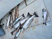 Kenosha Fishing Charter on