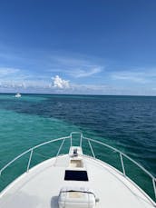   #1 CHARTER IN KEY LARGO!! sandbar trips,  island hopping, reef tours.’!