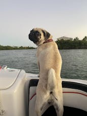 Salty Sandbars Key West SeaRay 250 