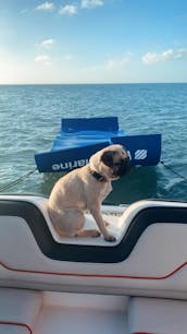 Salty Sandbars Key West SeaRay 250 