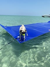 Boston Whaler 240 Sandbar Hangout Key West 