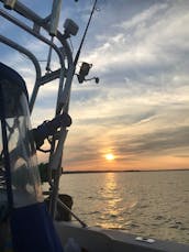 Fishing Charter On 25ft ''Fluke n’ Around'' Wellcraft Boat in Union Beach, New Jersey