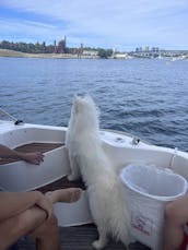 40ft Sea Ray Sundancer Motor Yacht in Kirkland