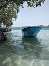 Explore the best shallow reefs in Parguera