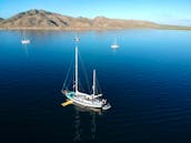 72 feet of fun and adventure in La Paz BCS. charter yacht