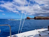46' Cruising Catamaran Lahaina Lanai Molokai (4 hour minimum)