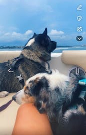 🚤Comfy 21' Deck Boat 👨‍✈️Local Captain &⛽Gas Included🍹B.Y.O.B 🐶Dog Friendly
