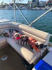 Pontoon Party Barge for rent in Long Beach, California