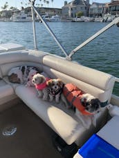 Duffy Boat for rent in Long Beach, California