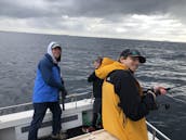 Pesca esportiva em Los Angeles: 1/2 excursões de um dia inteiro, locais e insulares, freelance