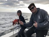 Pesca esportiva em Los Angeles: 1/2 excursões de um dia inteiro, locais e insulares, freelance