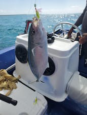 Private  Center Console boat   Saona Island Bayahibe Rd