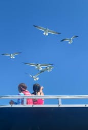 ¡Barco de fiesta de dos pisos con tobogán acuático en la playa de Madeira!