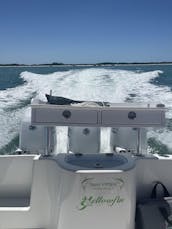 Console Yellowfin Center de 36 pieds - Croisières au coucher du soleil - Sandbar Party - Croisière intercôtière